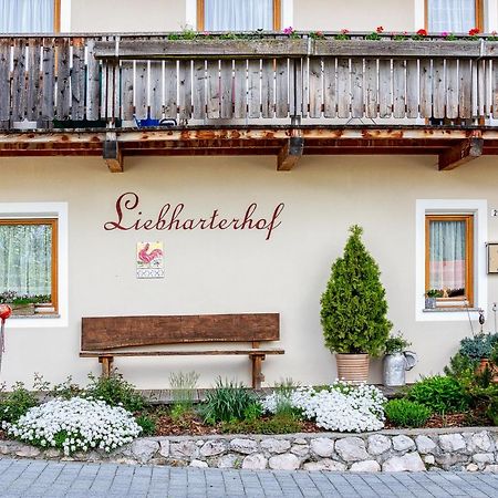 Liebharterhof Apartment Olang Екстериор снимка